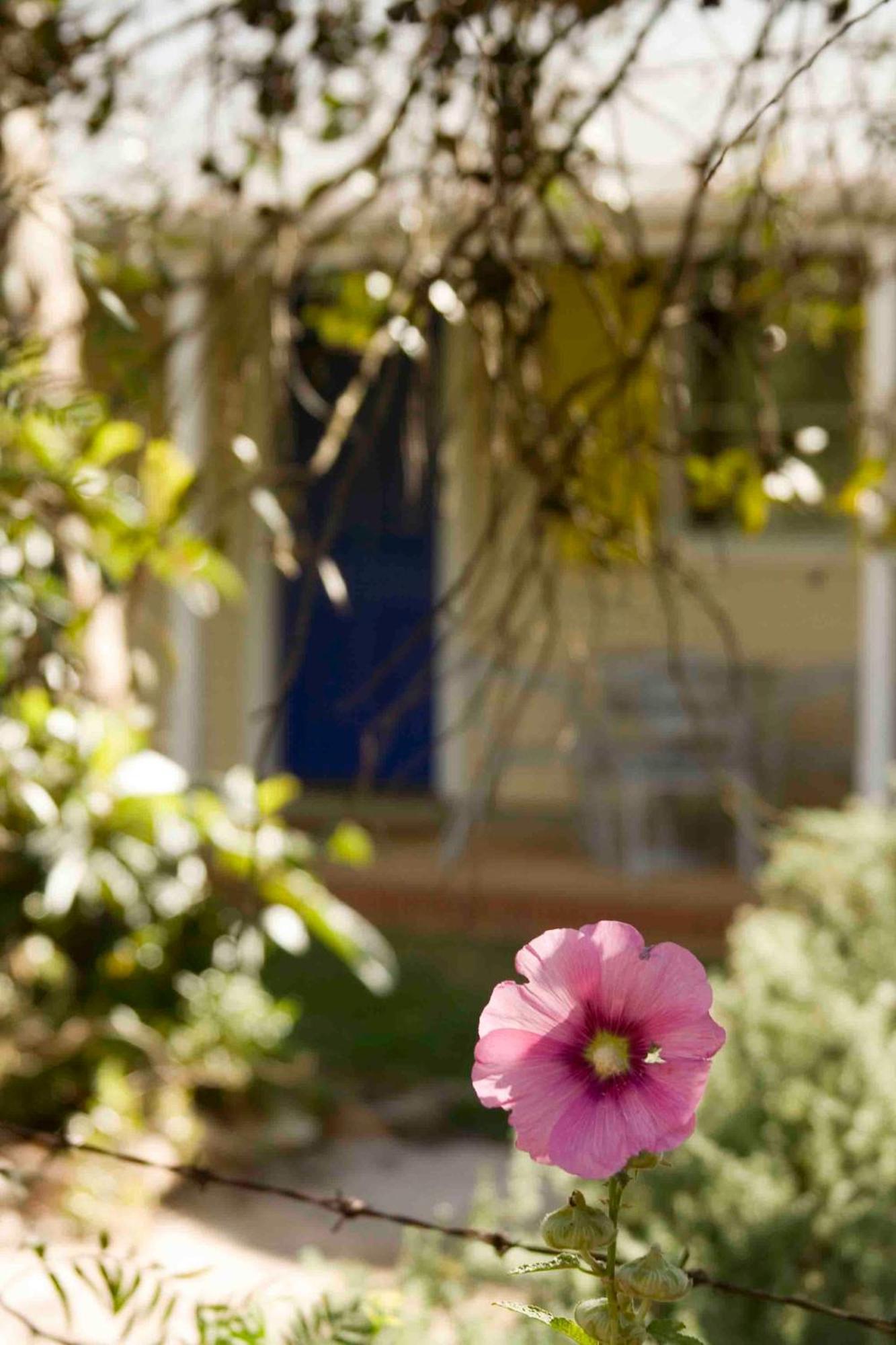 Amy'S House Bed & Breakfast Auburn Extérieur photo