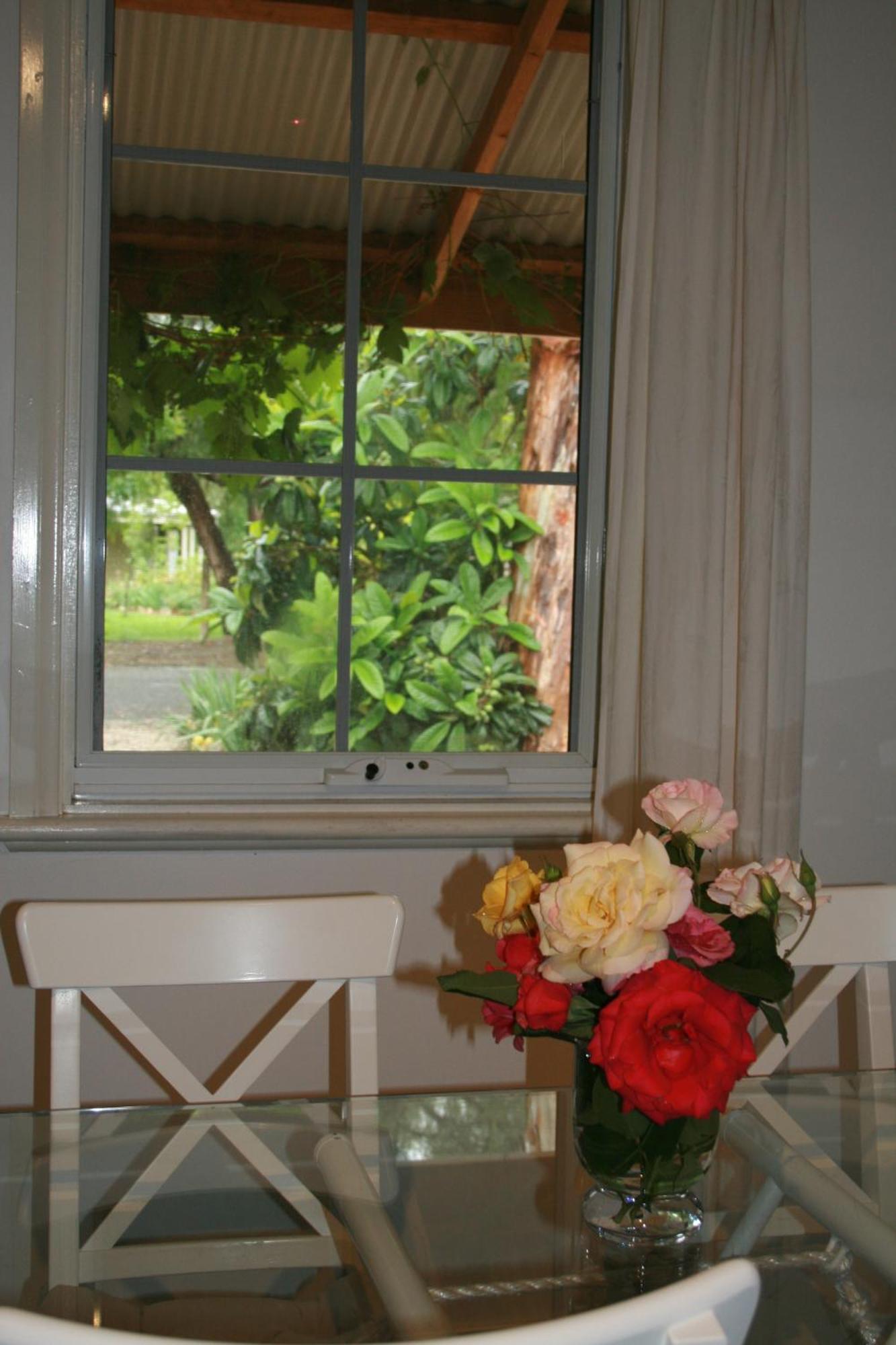 Amy'S House Bed & Breakfast Auburn Extérieur photo